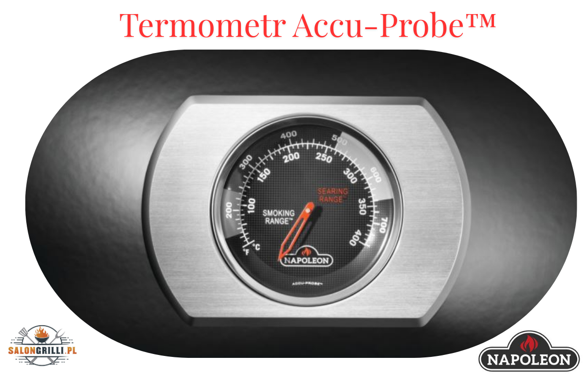 Termometr Accu-Probe
