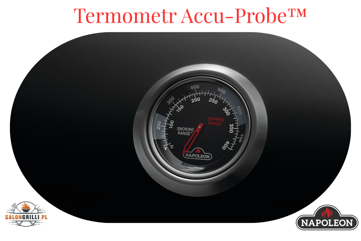 Termometr Accu-Probe™