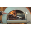 Alfa Forni Pogrzebacz Alfa Forni (AC-SPRAKE)