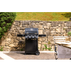 NAPOLEON Grill gazowy Freestyle 365 z drzwiczkami czarny (F365DPK-1-PL)