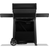 NAPOLEON Grill gazowy Freestyle z drzwiczkami czarny (F425DPK-1-PL)