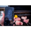 NAPOLEN Grill gazowy Prestige 500 z palnikiem do steków i do rożna WIFI (P500VXRSIBPSS-PL)