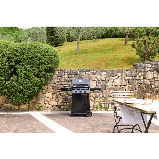 NAPOLEON Grill gazowy Freestyle 365 z drzwiczkami czarny (F365DPK-1-PL)