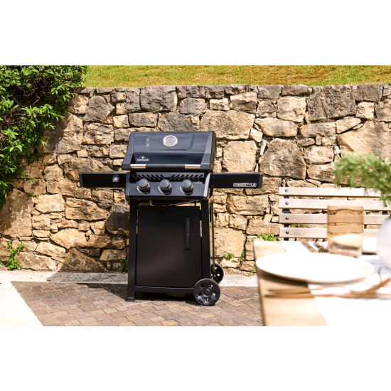 NAPOLEON Grill gazowy Freestyle 365 z drzwiczkami czarny (F365DPK-1-PL)