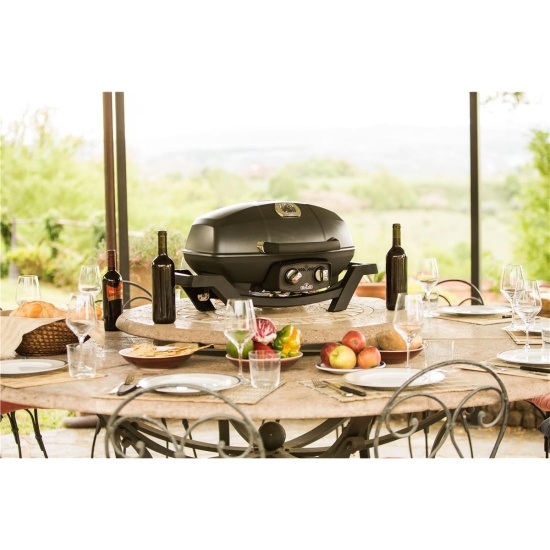 NAPOLEON Przenośny grill gazowy TRAVELQ™ PRO285-102764