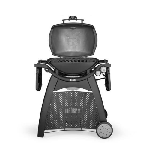Weber Grill Gazowy Weber Q 3200 Station-103022