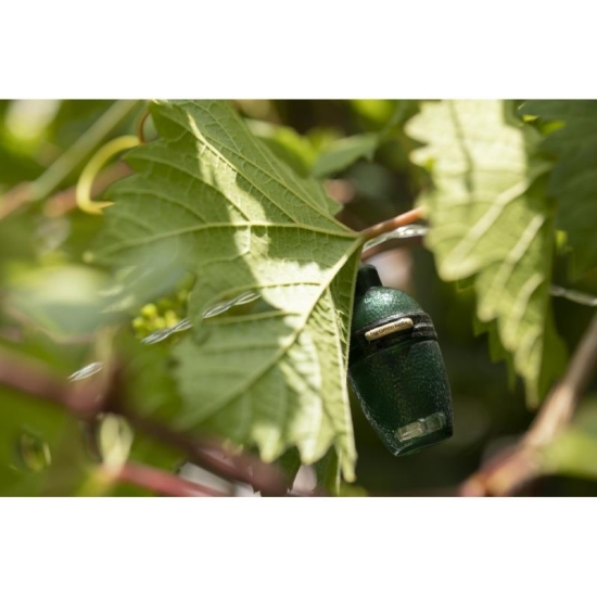 BIG GREEN EGG - Łańcuch świetlny LED-103927